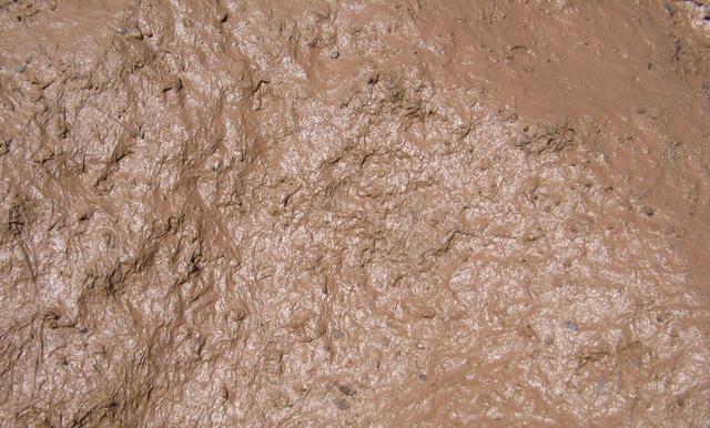 MUD- The earliest form of multiplayer games was debuted