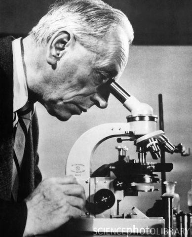 Frtiz Zernike: Brought Microscope to Market