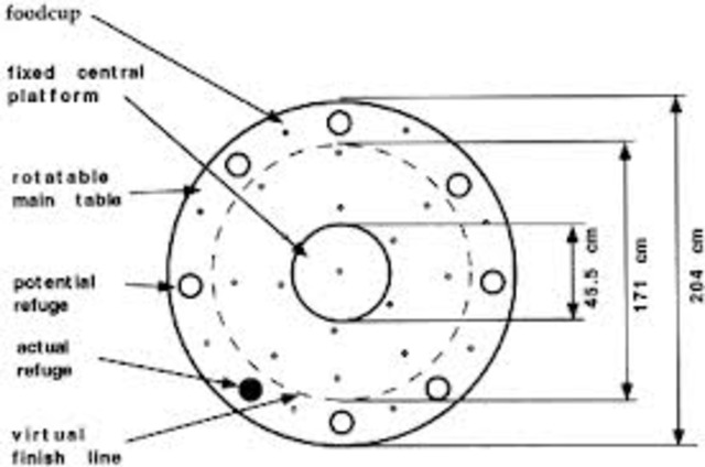 Ernst Leitz Created a Microscope with a Rotatable Mount