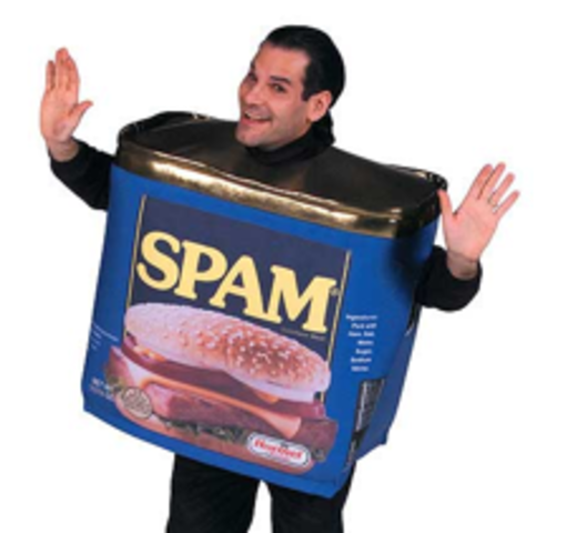 Spam is born