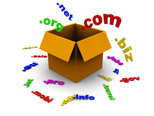 The domain name system was created