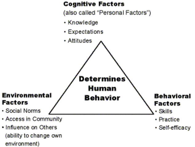 Cognitive Behavioral Theory