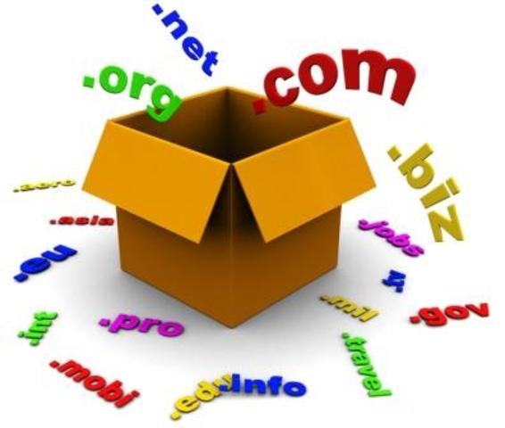 The domain name system was created