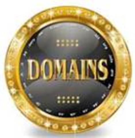 The domain name system was created