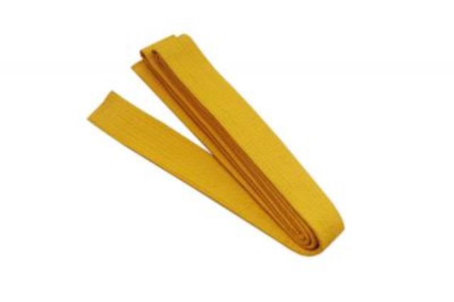 I got my new gold belt.