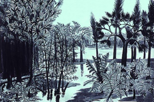 Carboniferous 345M-280M