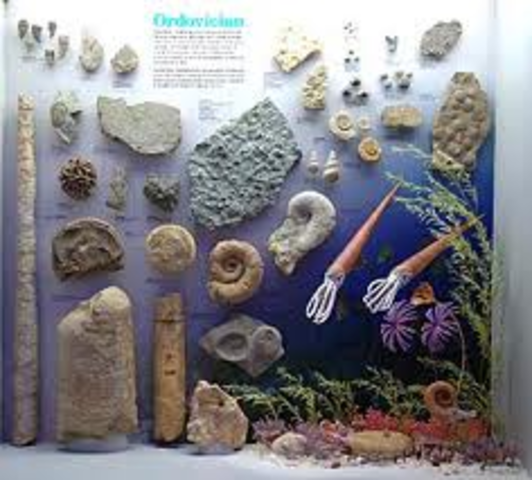 Ordovician