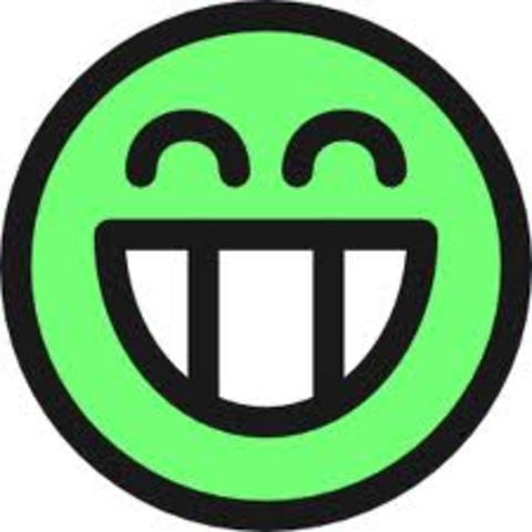 Be in Student Council