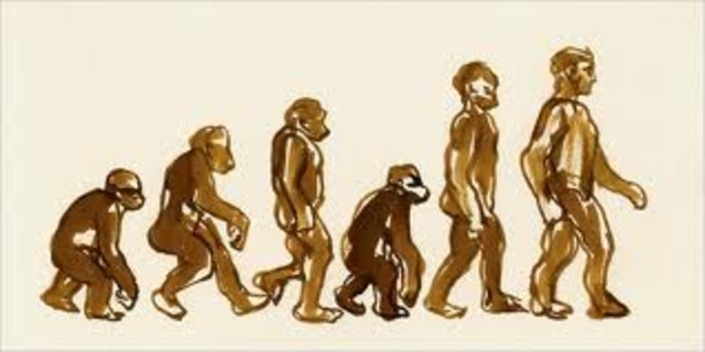 Quaternary Period: 1.8-present day