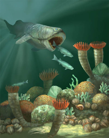Devonian 395- 345 MYA