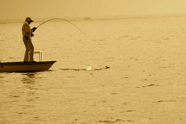 Settlers expand into the territory of Teches