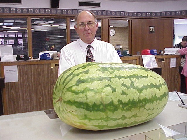 Biggest watermelon grown