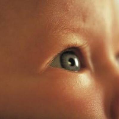 Timeline: Perceptual Development