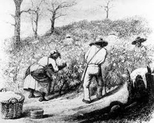 First Enslaved African Arrives in America