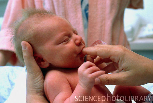 Reflex : Rooting reflex