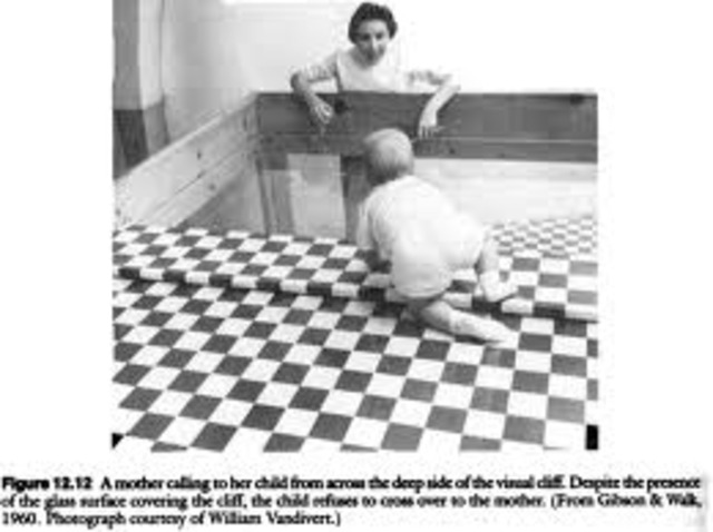 Perceptual Dev. : Depth perception