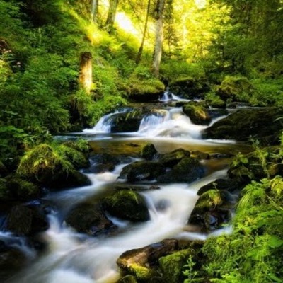 Timeline: ULTIMOS 15 TEMAS EN CUANTO A DEMOCRACIA