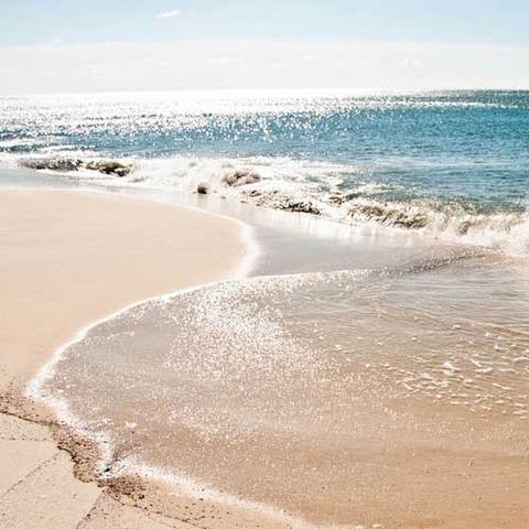 Spring Break/ Holidays