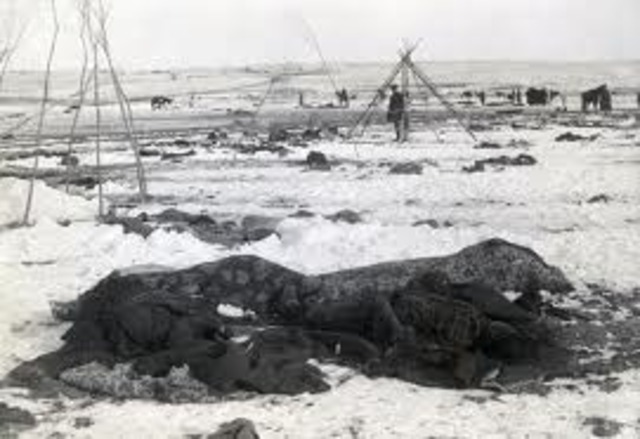Battle of Wounded Knee