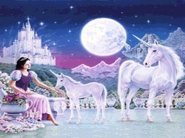 UNICORNS MEET SNOWWHITE