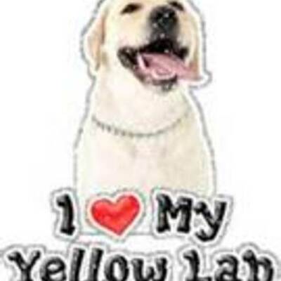 Timeline: Andreina Timeline