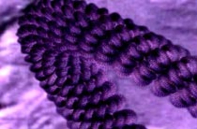 Hershey and Chase Experiment