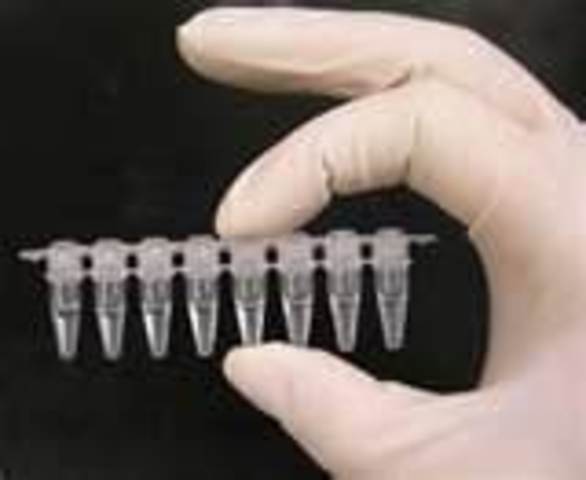 PCR is Developed