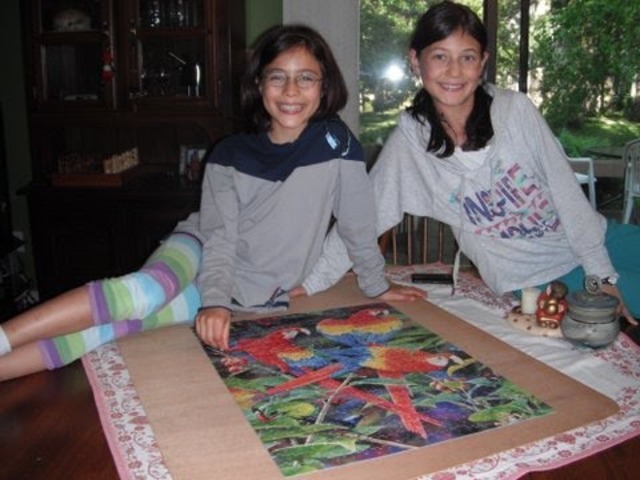 Puuzzle Of 500 pices but SUPER DUPER hard