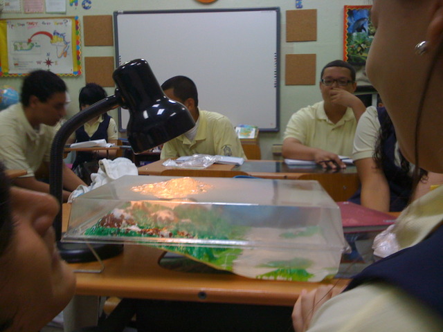 Ramirez de Arellano Bilingual School as a science teacher