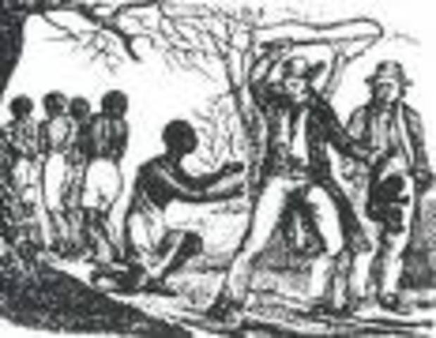 First slaves in new world