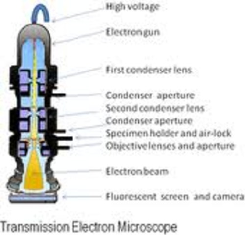 Electron Microscope