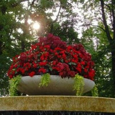 Timeline: Loovuse kursus