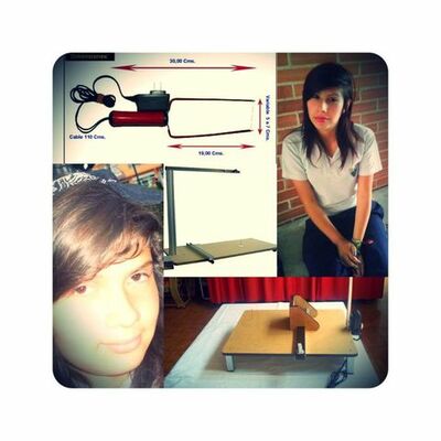 Timeline: cortaicopor