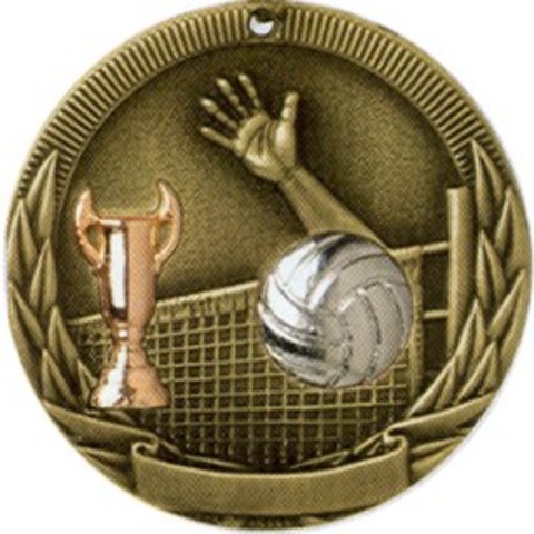 Getting my First Medal.