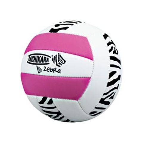 volleynball