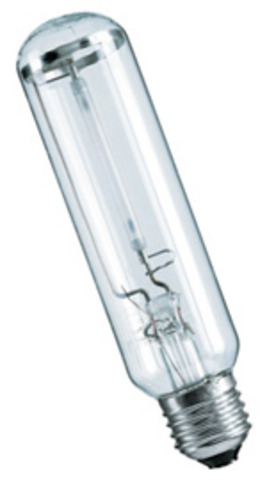 Gas Discharge Lamp