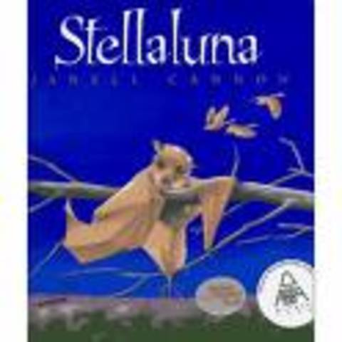 Stellaluna Comprehension Lesson