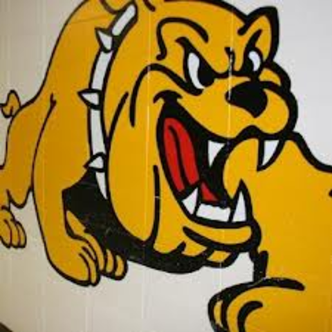 My first goal when I become a bull dog.