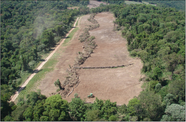 desmatamento no ano de 2012