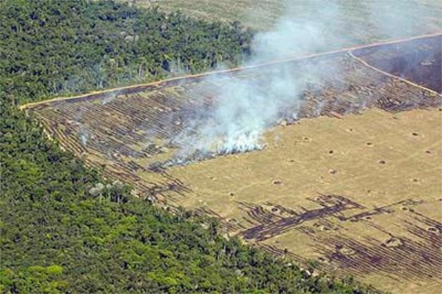 Desmatamento no RS