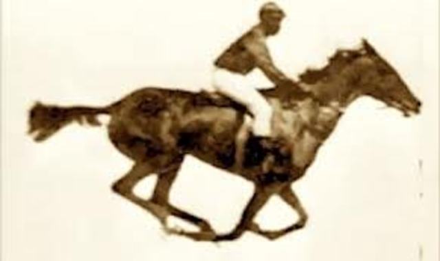 Lelands Standford's Bet