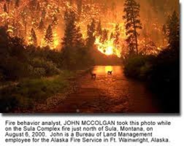 state capitol in raleigh desroyed by fire