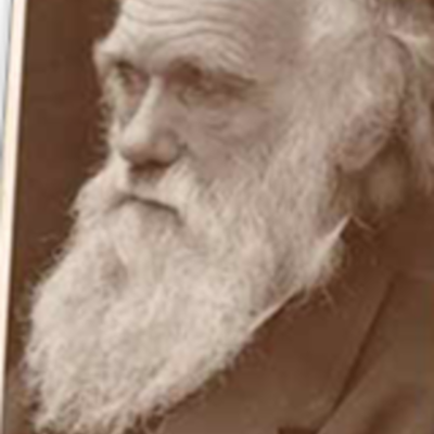 Timeline: Darwin