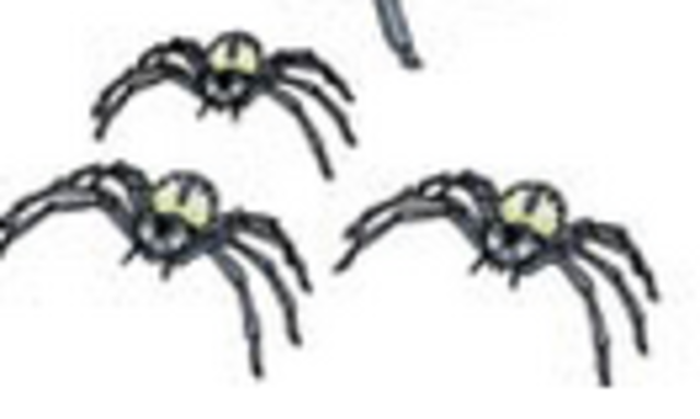 Baby spiders are born.