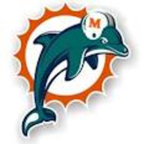 Career With Dolphins