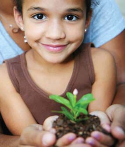 I started 1st grade to 6th grade. Languages: Spanish and  One hour Enlgish