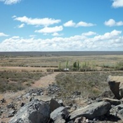 Timeline: Historia de Ramos Mexía