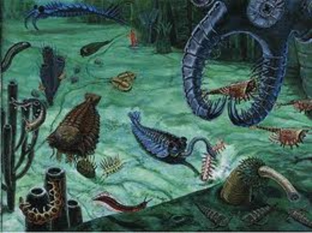 Beginning of Cambrian period 570M-500M