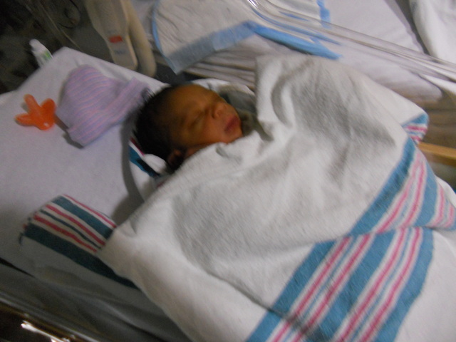 Curtis Jr Born