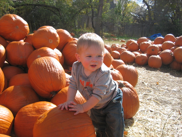 Pumpkin Patch